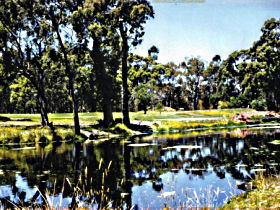 Scotchtown TAS Tourism Guide