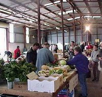 Burnie Farmers' Market - Tourism Guide