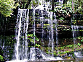 Mt Field National Park - Tourism Guide 0