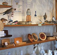 Touchwood Craft Gallery Gifts and Cafe - Tourism Guide