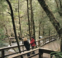 Franklin River Nature Trail - Tourism Guide