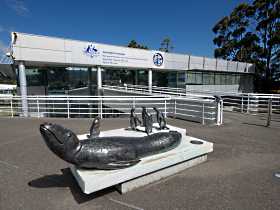 Australia's Antarctic Headquarters - Tourism Guide 0