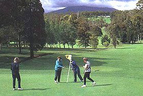 Deloraine Golf Course - Tourism Guide 0