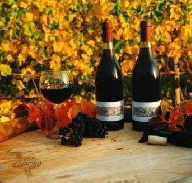 Craigow Vineyard - Cruises Travel