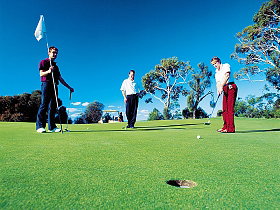 Bagdad Public Golf Course - Tourism Guide 0