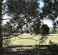 Cygnet Public Golf Course - Tourism Guide