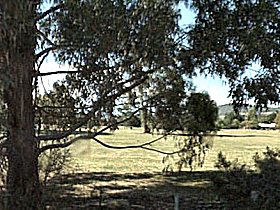 Cygnet Public Golf Course - Cruises Travel 0