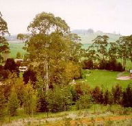 The Tasmanian Arboretum - Tourism Guide