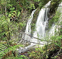 Hogarth Falls - Tourism Guide