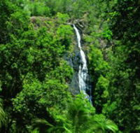 Kondalilla National Park - Tourism Guide