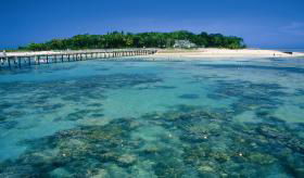 Cruises Travel