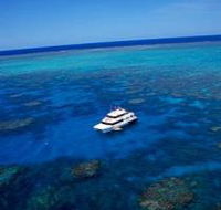 Norman Reef Dive Site - Cruises Travel