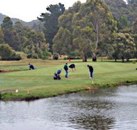 Penguin Golf Course - Tourism Guide