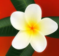 Well Retreat - Day Spa and Teahouse - Tourism Guide