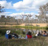 Canberra Nature Park - Tourism Guide