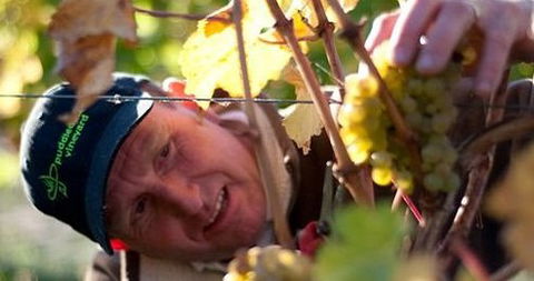 Puddleduck Vineyard - Tourism Guide 0