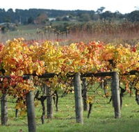 Apsley Gorge Vineyard - Tourism Guide