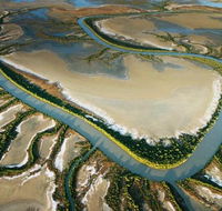 The Wilderness Gallery - Tourism Guide
