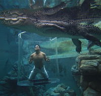 Crocosaurus Cove - Travel Search