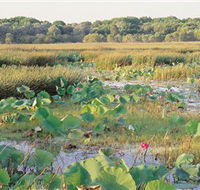 Fogg Dam Conservation Reserve - Tourism Guide