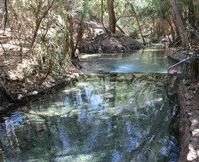 Katherine Hot Springs - Tourism Guide 0