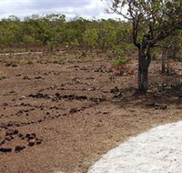 Wurrwurrwuy Garanhan Macassan Beach Interpretive Walk - Tourism Guide