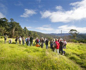 Springbrook QLD Tourism Guide