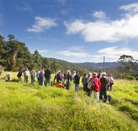 Apple Tree Park - Tourism Guide