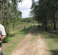 Coombabah Lakes Conservation Area - Tourism Guide