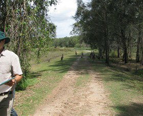 Coombabah Lakes Conservation Area - Tourism Guide 0