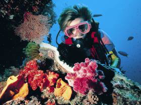 Nine Mile Reef Dive Site - Travel Agents 0