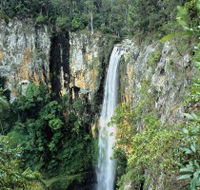 Gondwana Rainforests of Australia - Tourism Guide