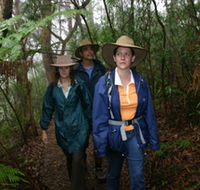 Mount Cougal Springbrook National Park - Tourism Guide
