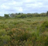 Pine Ridge Conservation Park - Tourism Guide