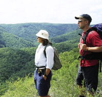 Sunshine Coast Hinterland Great Walk - Tourism Guide