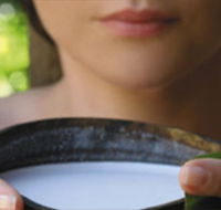Ikatan Day Spa - Tourism Guide