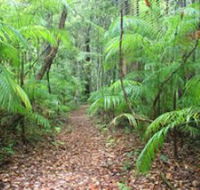 Delicia Road Conservation Park - Tourism Guide