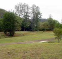 Brooyar State Forest - Tourism Guide