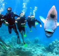 Magic Mountain Dive Site - Tourism Guide