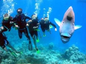 Magic Mountain Dive Site - Cruises Travel 0