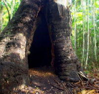 Tewantin National Park - Tourism Guide
