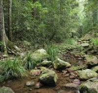 Amamoor State Forest - Tourism Guide
