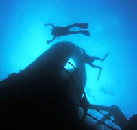 Ex HMAS Brisbane Dive Site - Tourism Guide