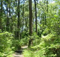 Mapleton Falls National Park - Tourism Guide