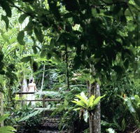 Flecker Botanic Gardens - Cruises Travel