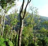 Smiths Track Barron Gorge National Park - Cruises Travel