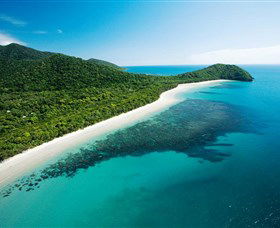 Cape Tribulation, Daintree National Park - Tourism Guide 0
