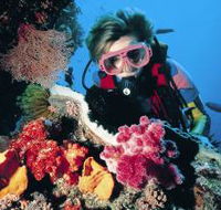 Osprey Reef - Cruises Travel