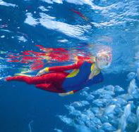 Pixie Pinnacle Dive Site - Cruises Travel