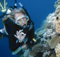 Moore Reef Dive Site - Cruises Travel